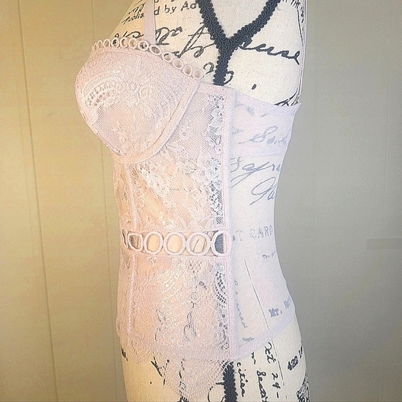 Victoria's Secret Longline Pink Sparkle Bustier Corset Lace Mesh - Picture 6 of 15